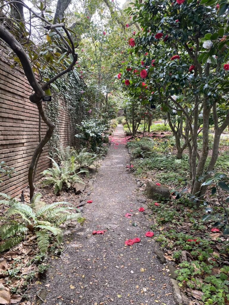 There is always a new path available